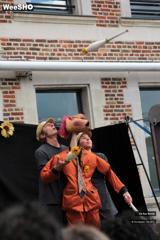 32/44 photos du spectacle Mario