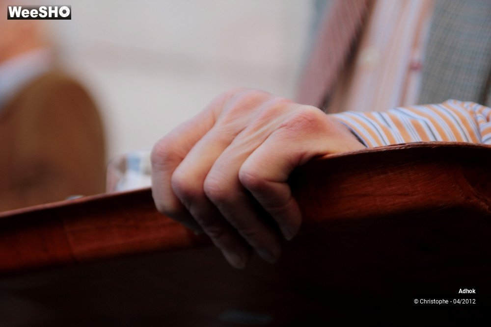 7/50 photos du spectacle Adhok - Echappées belles