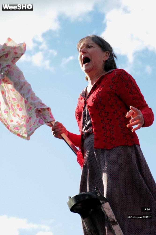 38/50 photos du spectacle Adhok - Echappées belles