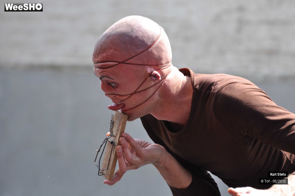 19/47 photos du spectacle Karl Stets