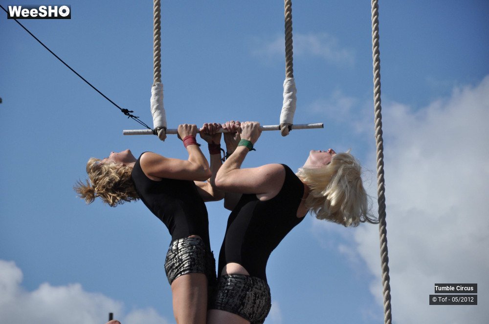 8/42 photos du spectacle Tumble Circus