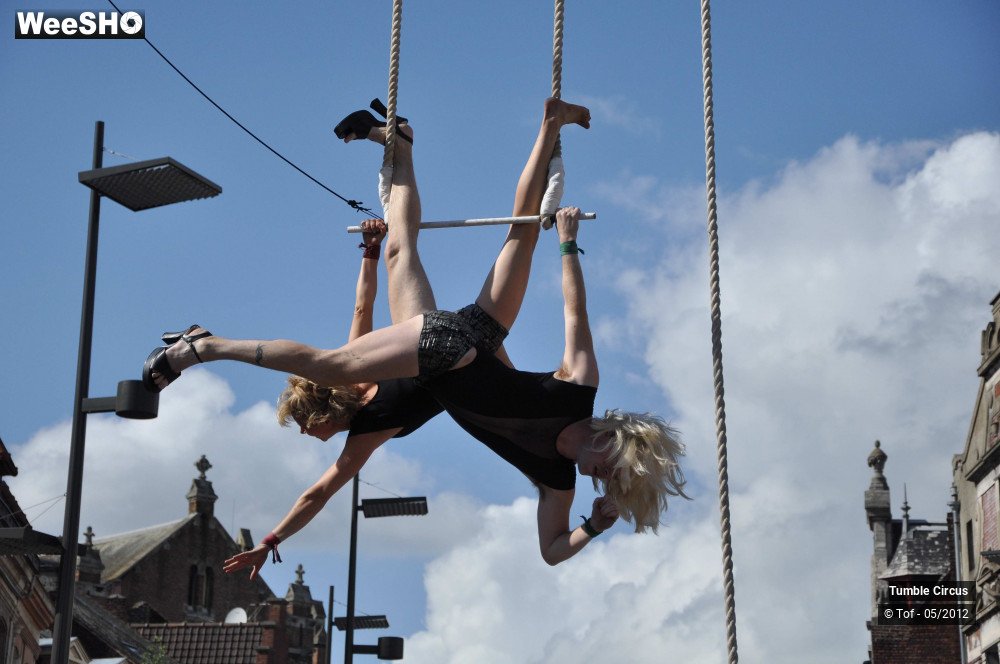 13/42 photos du spectacle Tumble Circus