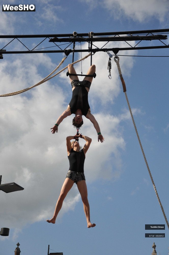 31/42 photos du spectacle Tumble Circus