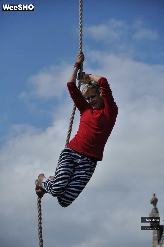 42/42 photos du spectacle Tumble Circus