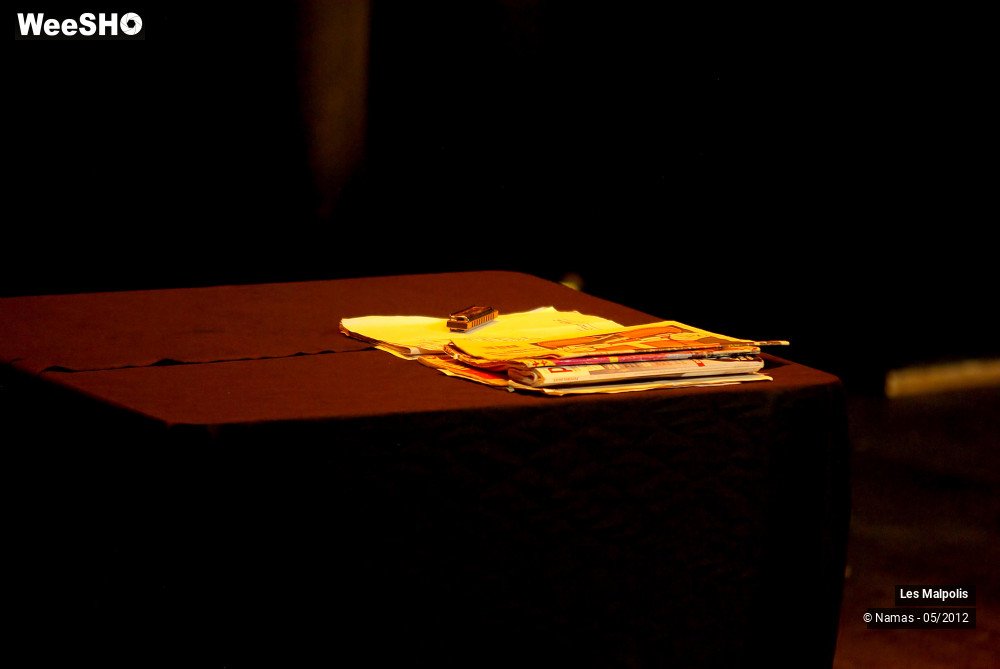 11/38 photos du spectacle Les Malpolis