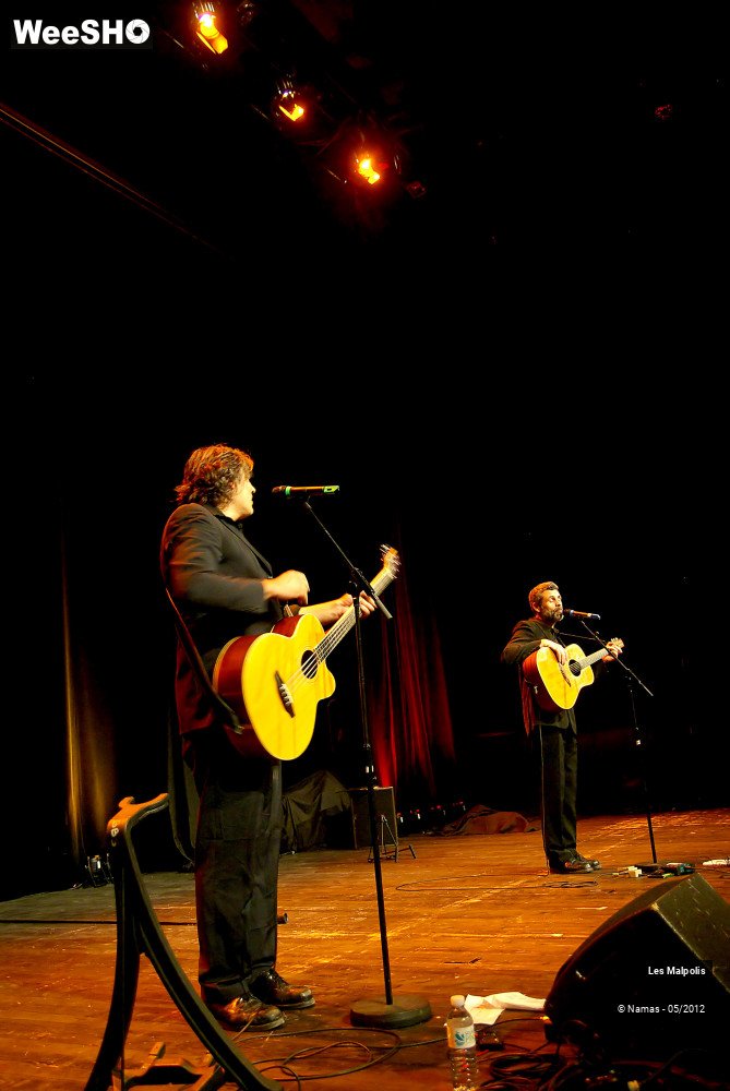29/38 photos du spectacle Les Malpolis