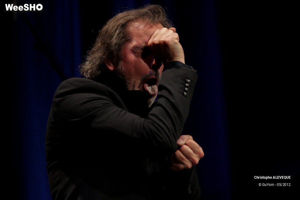 15/40 photos du spectacle Christophe ALEVEQUE