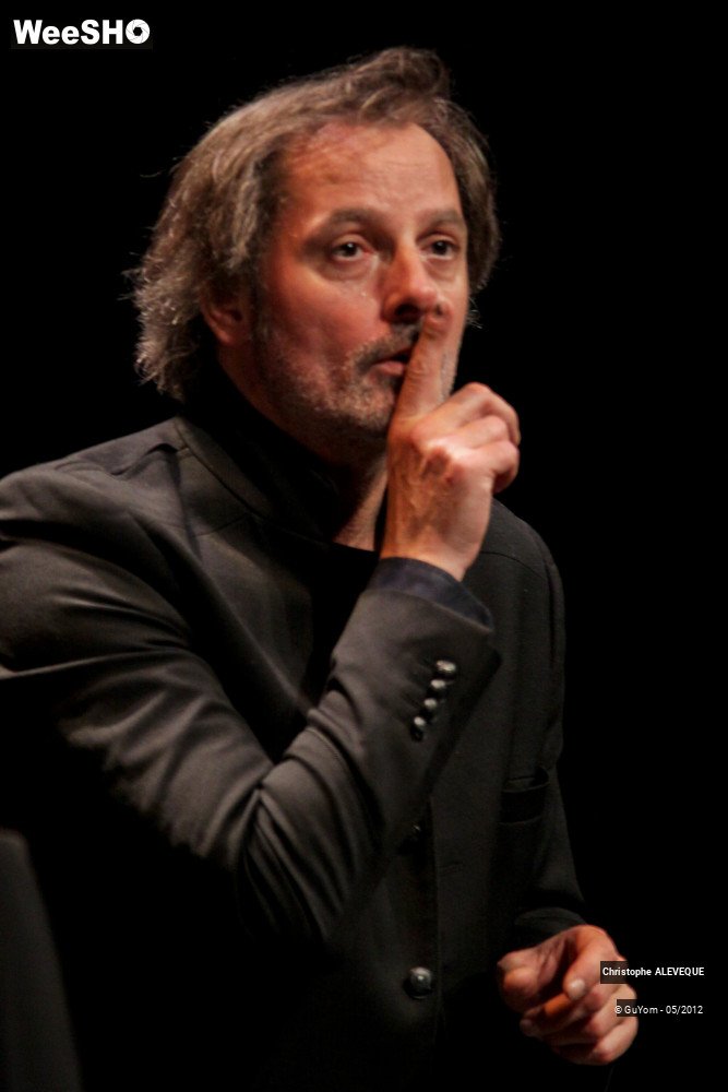 28/40 photos du spectacle Christophe ALEVEQUE