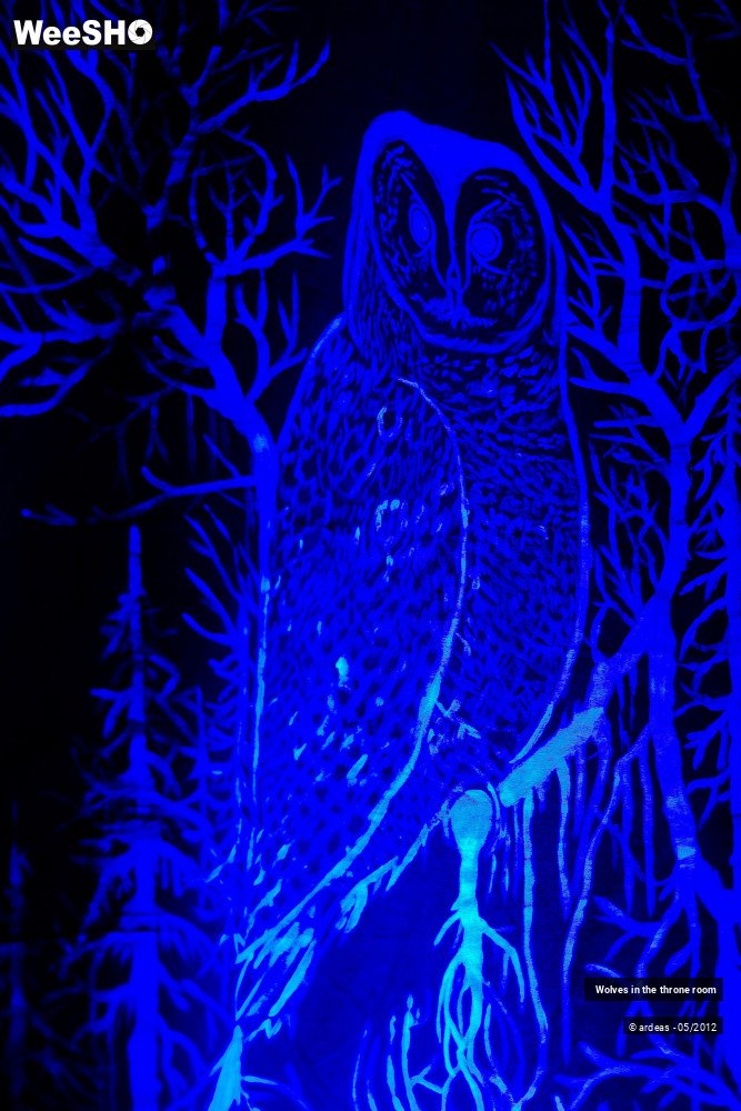 6/21 photos du spectacle Wolves in the throne room 