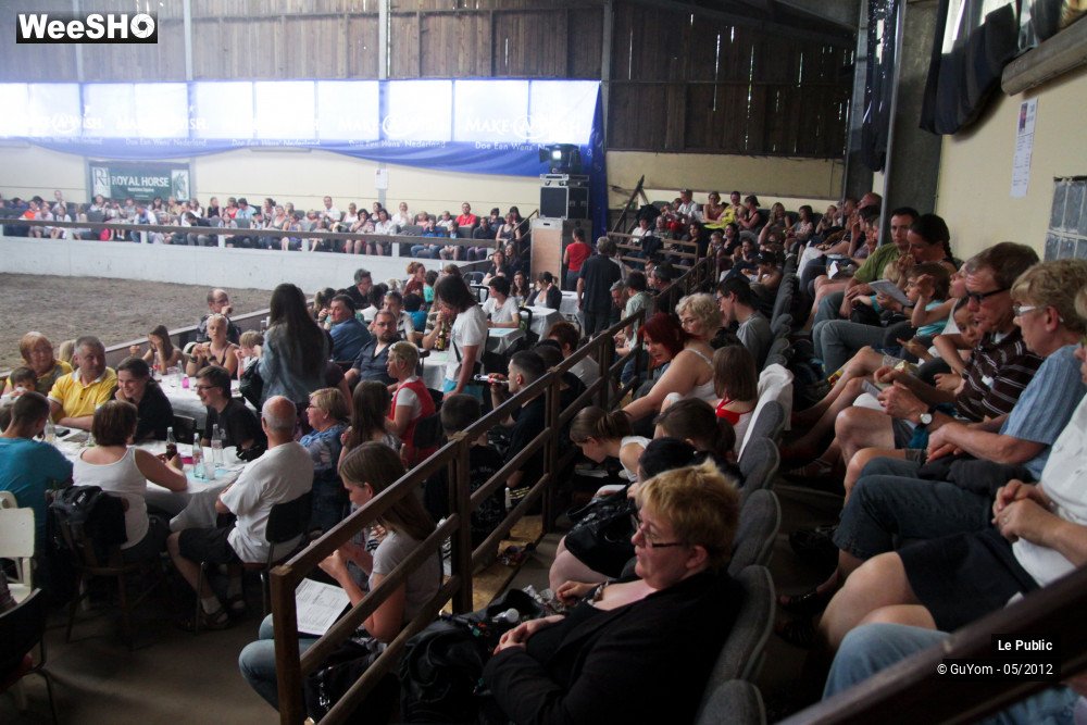 6/26 photos du spectacle Spectacle Equestre 2 Ambiance