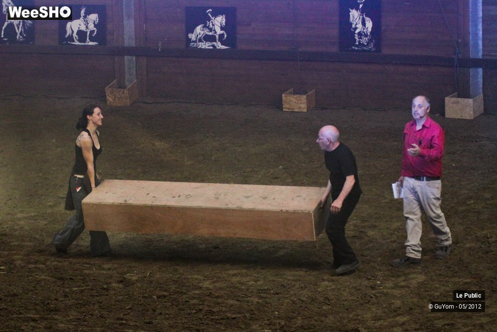 12/26 photos du spectacle Spectacle Equestre 2 Ambiance