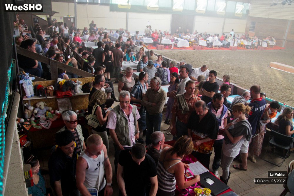 13/26 photos du spectacle Spectacle Equestre 2 Ambiance