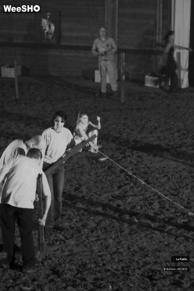 24/26 photos du spectacle Spectacle Equestre 2 Ambiance