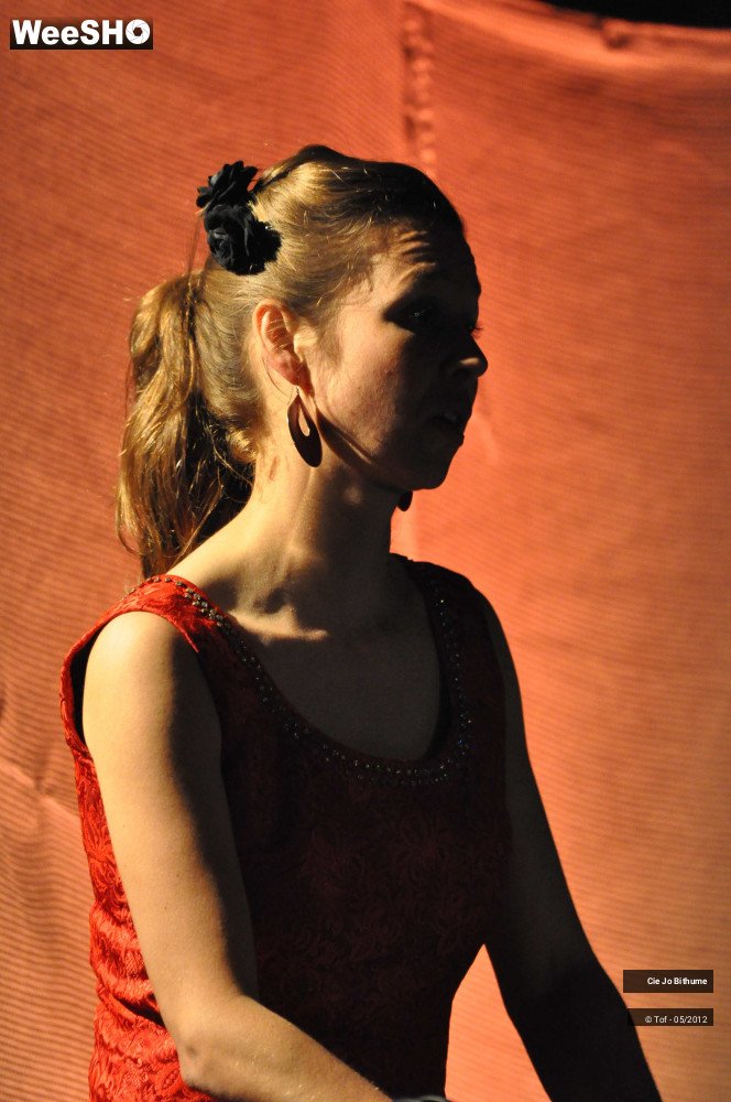 38/43 photos du spectacle Jo Bithume