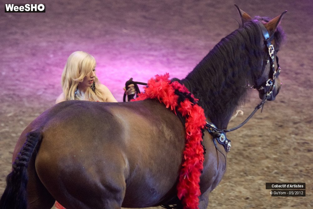 3/49 photos du spectacle Spectacle Equestre 2 Juniors