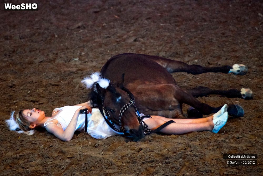 20/49 photos du spectacle Spectacle Equestre 2 Juniors