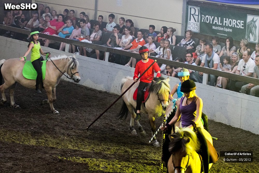 27/49 photos du spectacle Spectacle Equestre 2 Juniors
