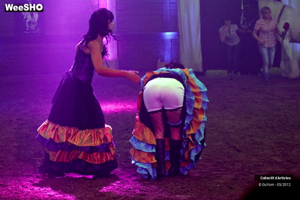 28/49 photos du spectacle Spectacle Equestre 2 Juniors