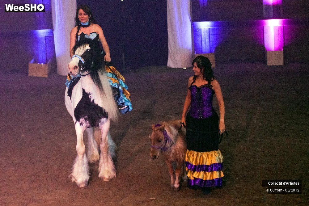 32/49 photos du spectacle Spectacle Equestre 2 Juniors