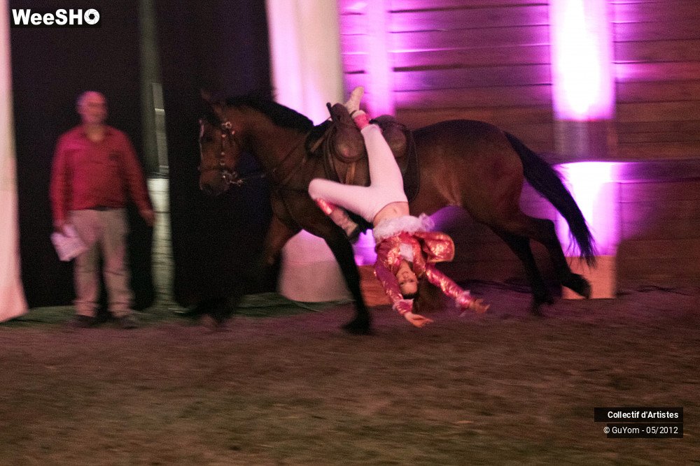 34/49 photos du spectacle Spectacle Equestre 2 Juniors