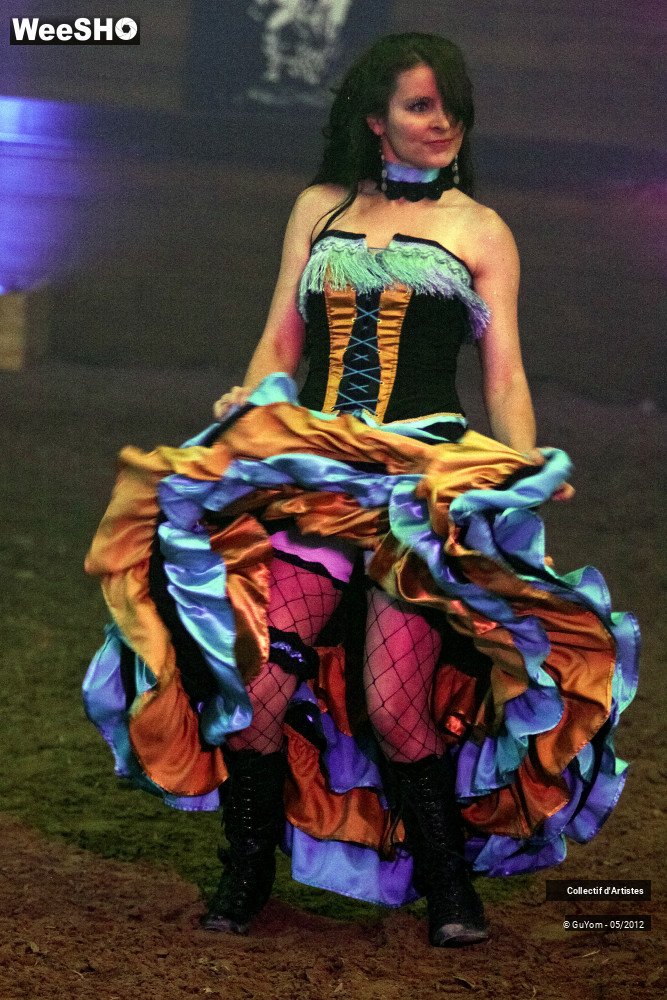 36/49 photos du spectacle Spectacle Equestre 2 Juniors