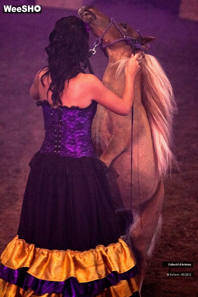 37/49 photos du spectacle Spectacle Equestre 2 Juniors