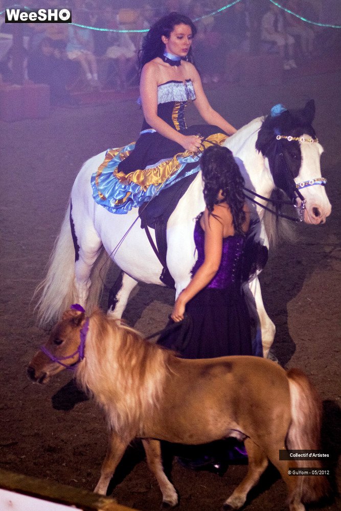 39/49 photos du spectacle Spectacle Equestre 2 Juniors