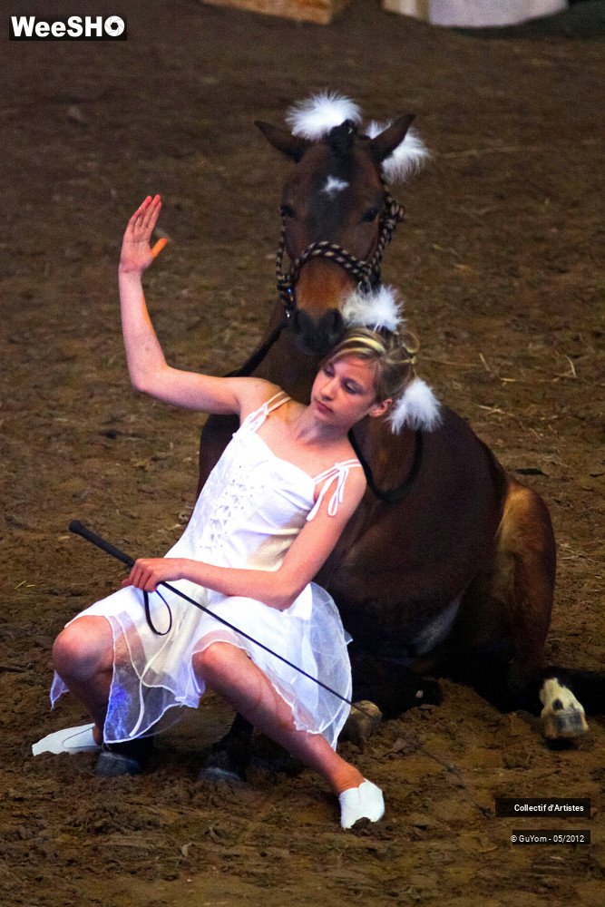 43/49 photos du spectacle Spectacle Equestre 2 Juniors