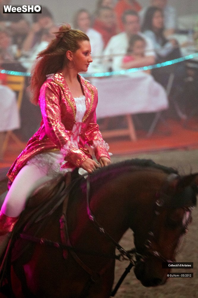 44/49 photos du spectacle Spectacle Equestre 2 Juniors