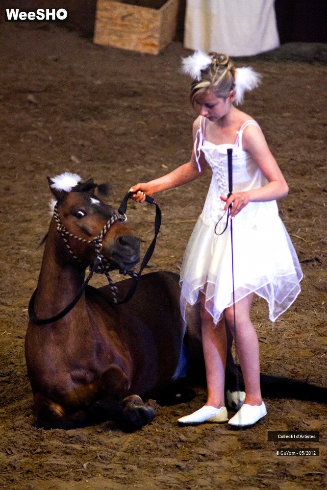 48/49 photos du spectacle Spectacle Equestre 2 Juniors