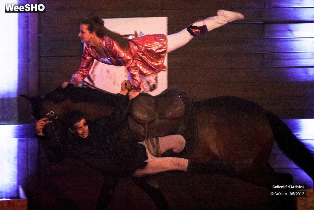 49/49 photos du spectacle Spectacle Equestre 2 Juniors