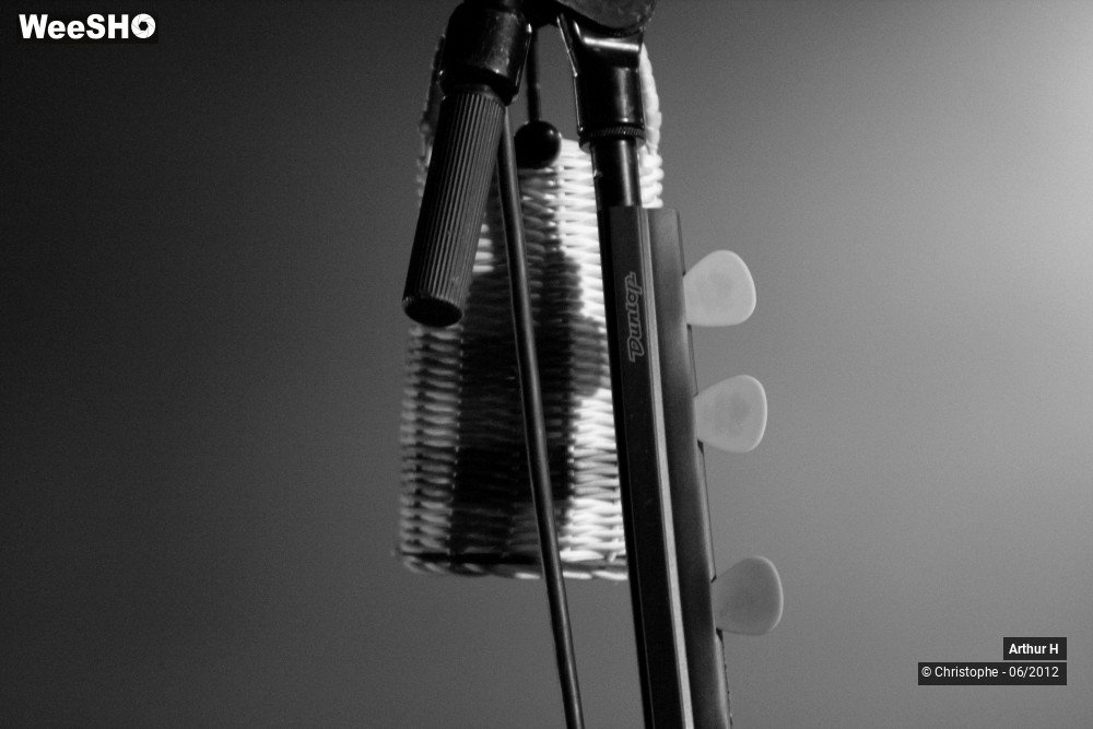 2/31 photos du spectacle Arthur H