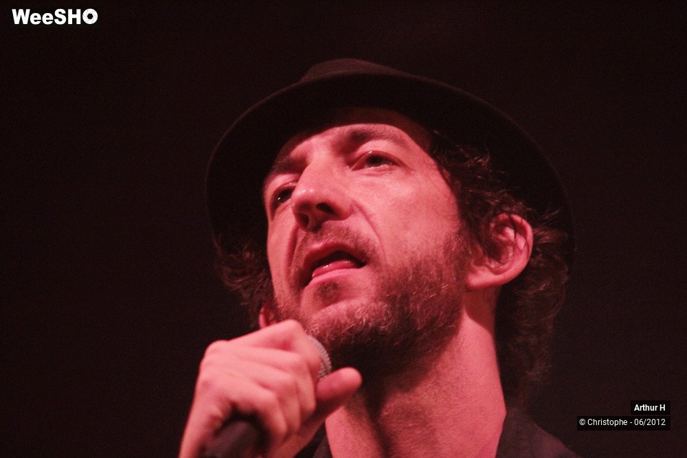 4/31 photos du spectacle Arthur H