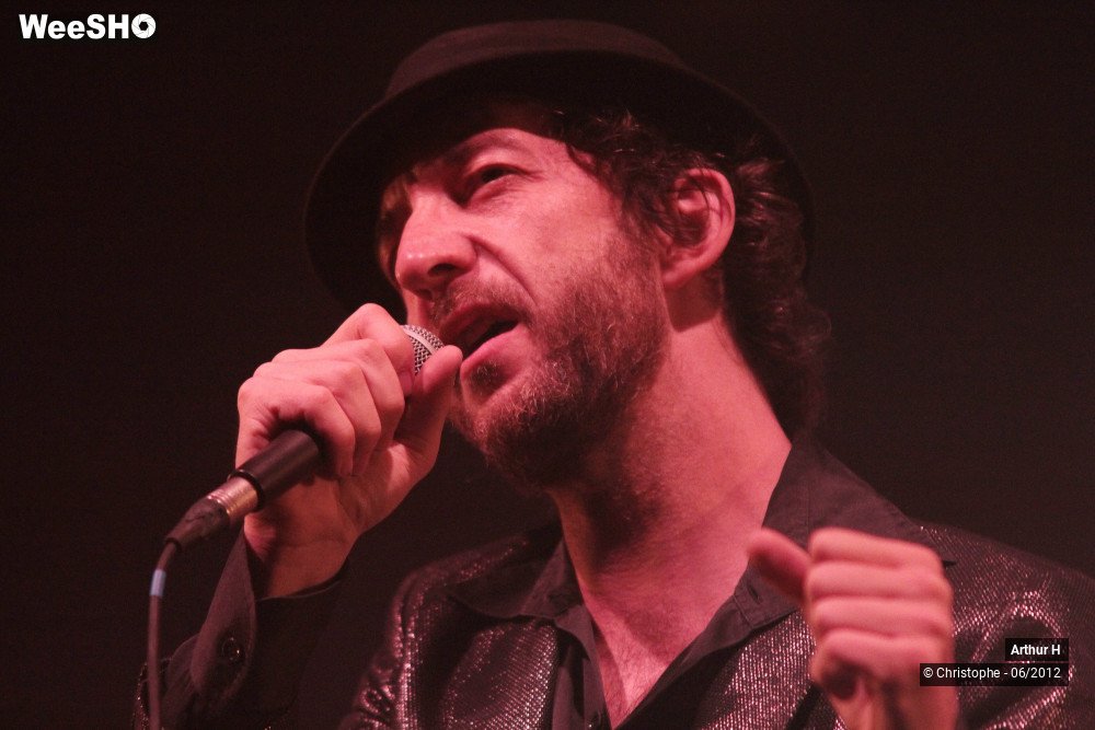 6/31 photos du spectacle Arthur H