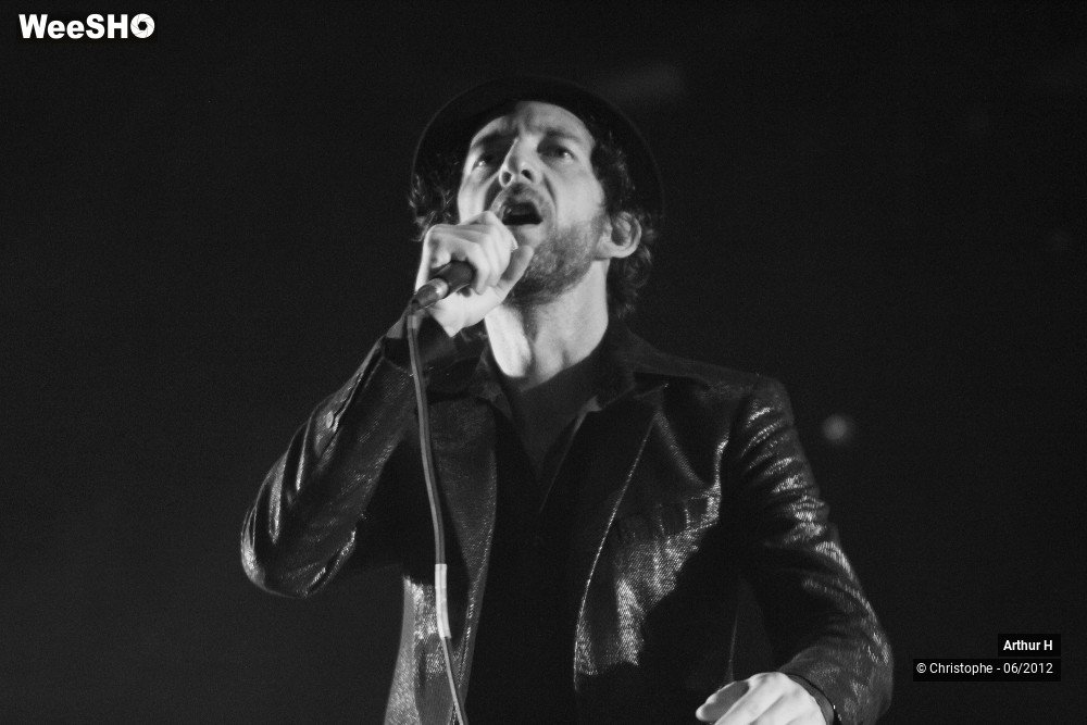 13/31 photos du spectacle Arthur H