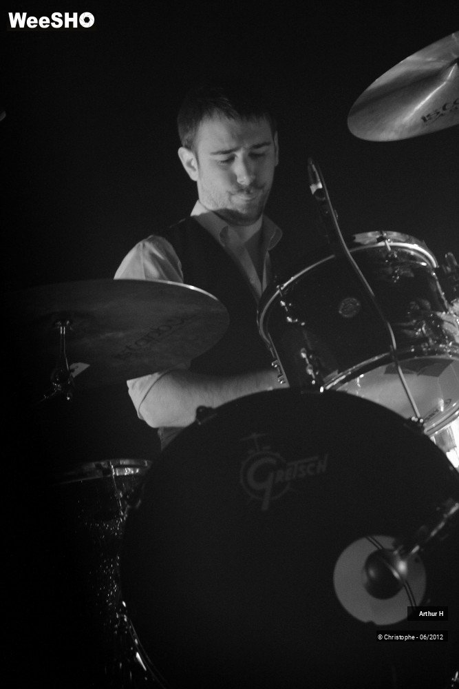 14/31 photos du spectacle Arthur H