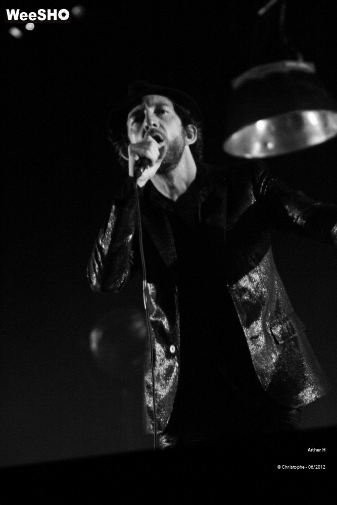 16/31 photos du spectacle Arthur H