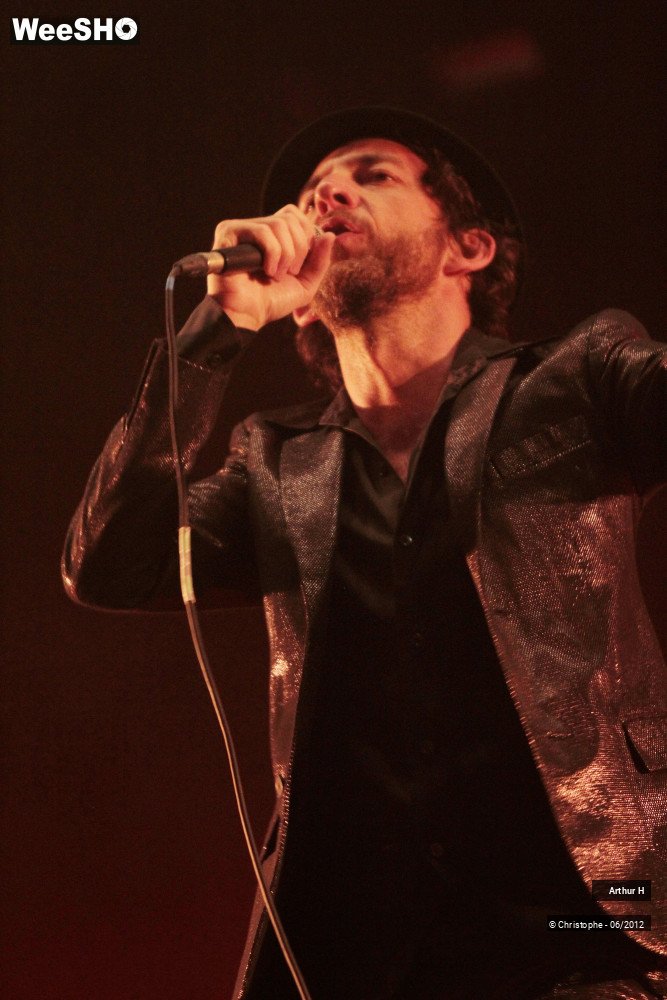 17/31 photos du spectacle Arthur H