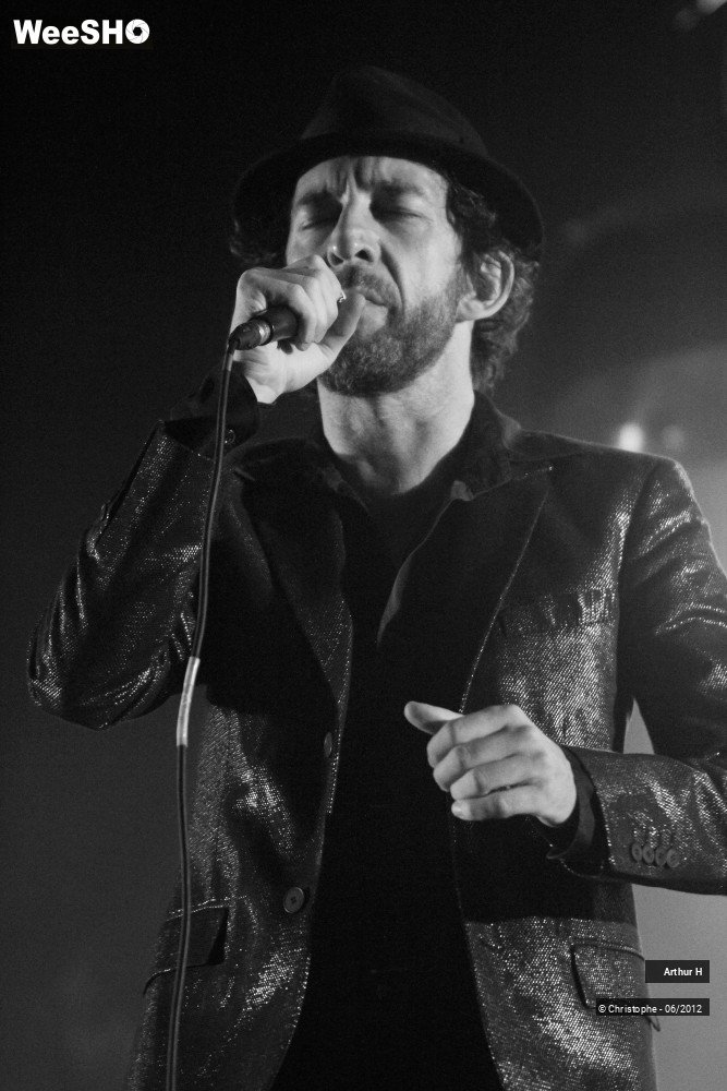 20/31 photos du spectacle Arthur H