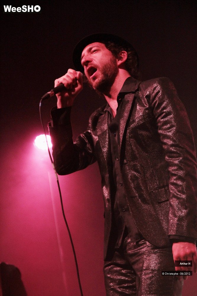 21/31 photos du spectacle Arthur H