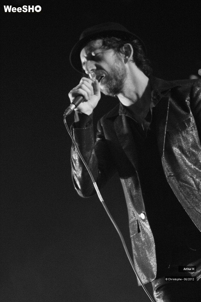 22/31 photos du spectacle Arthur H