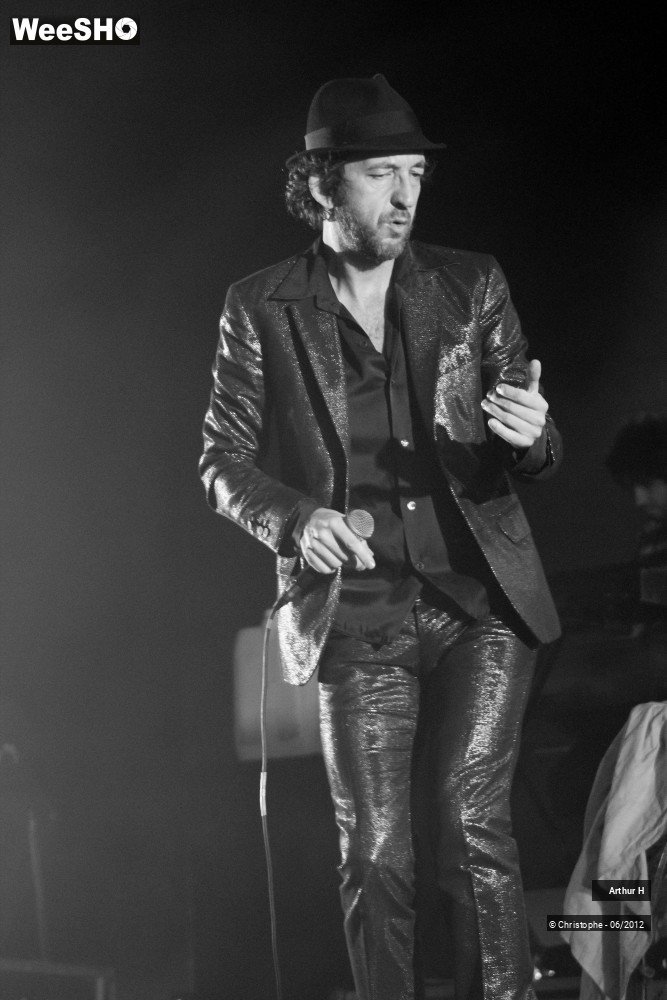 23/31 photos du spectacle Arthur H