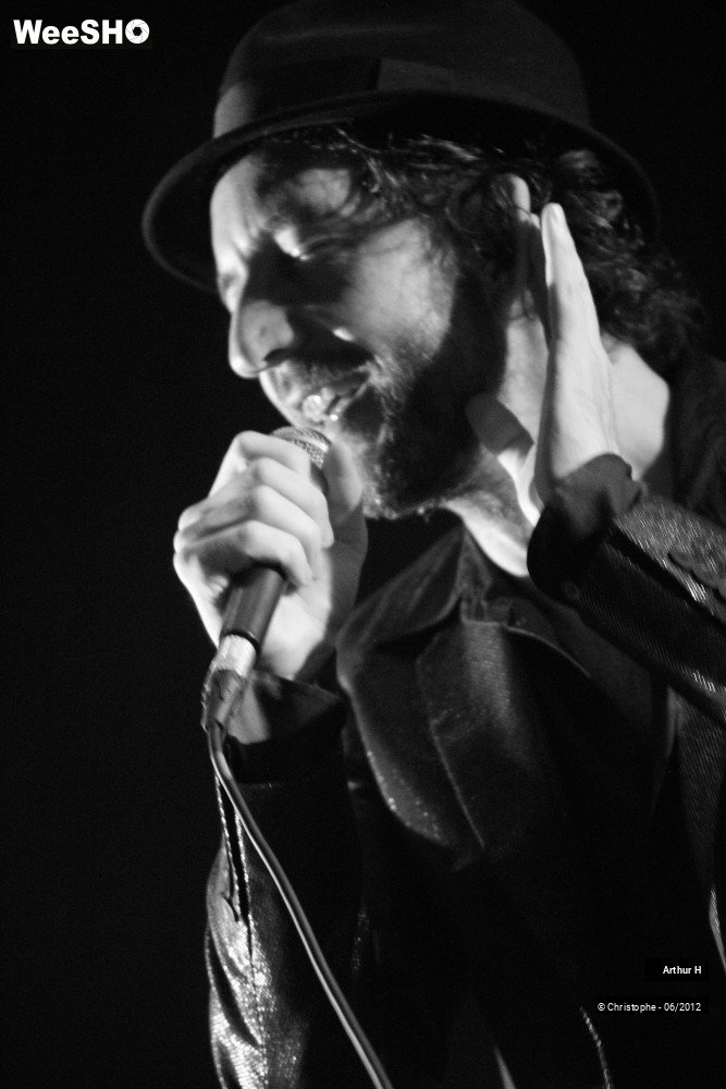 25/31 photos du spectacle Arthur H