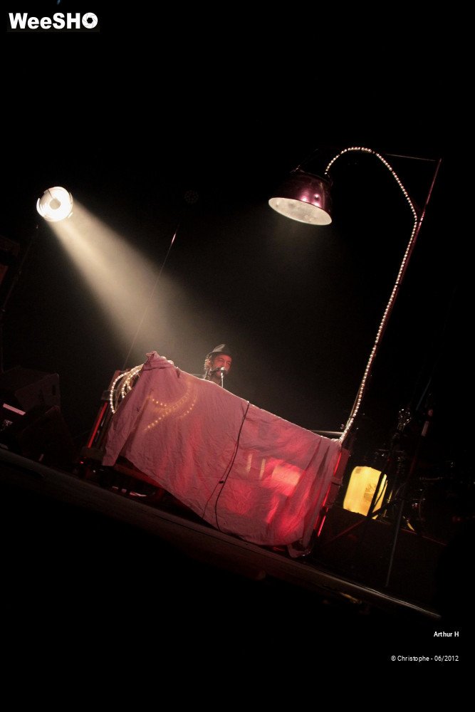 26/31 photos du spectacle Arthur H