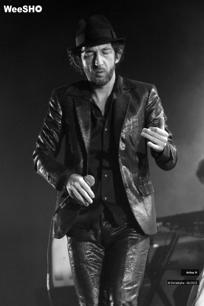 27/31 photos du spectacle Arthur H