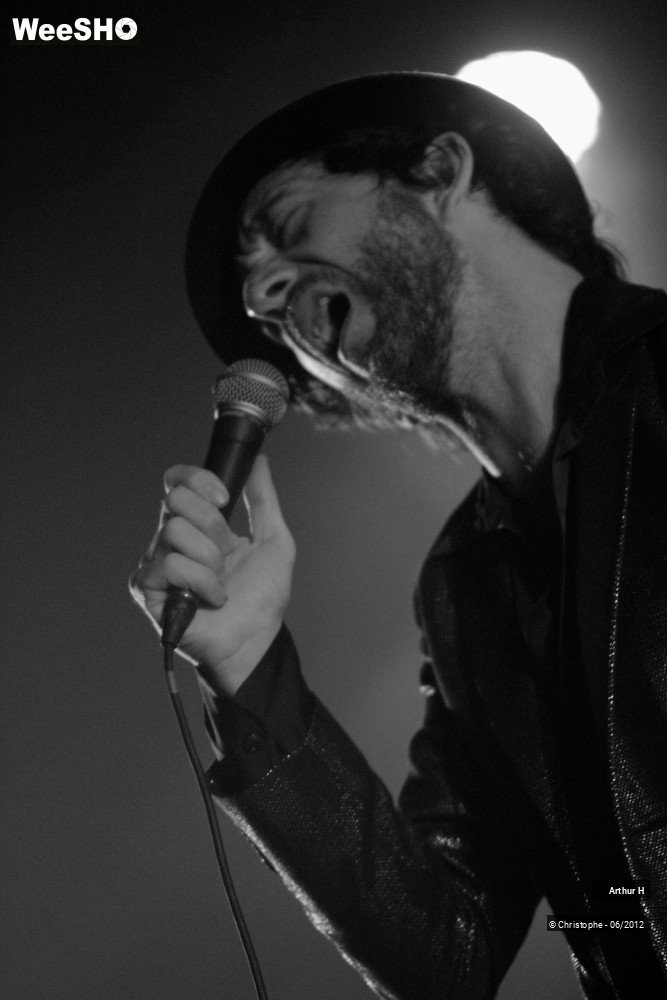 28/31 photos du spectacle Arthur H