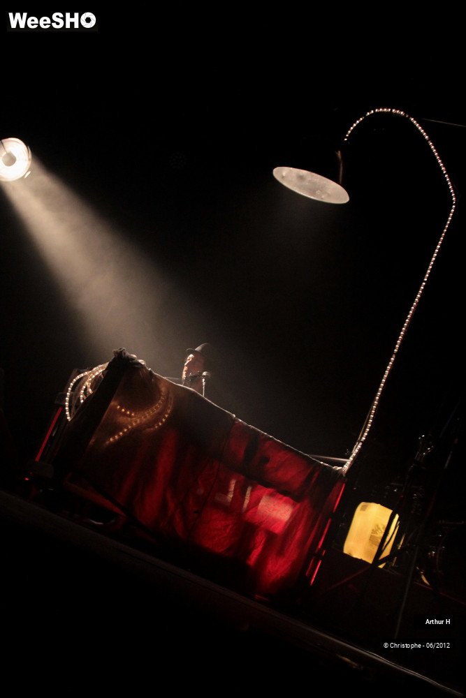 30/31 photos du spectacle Arthur H