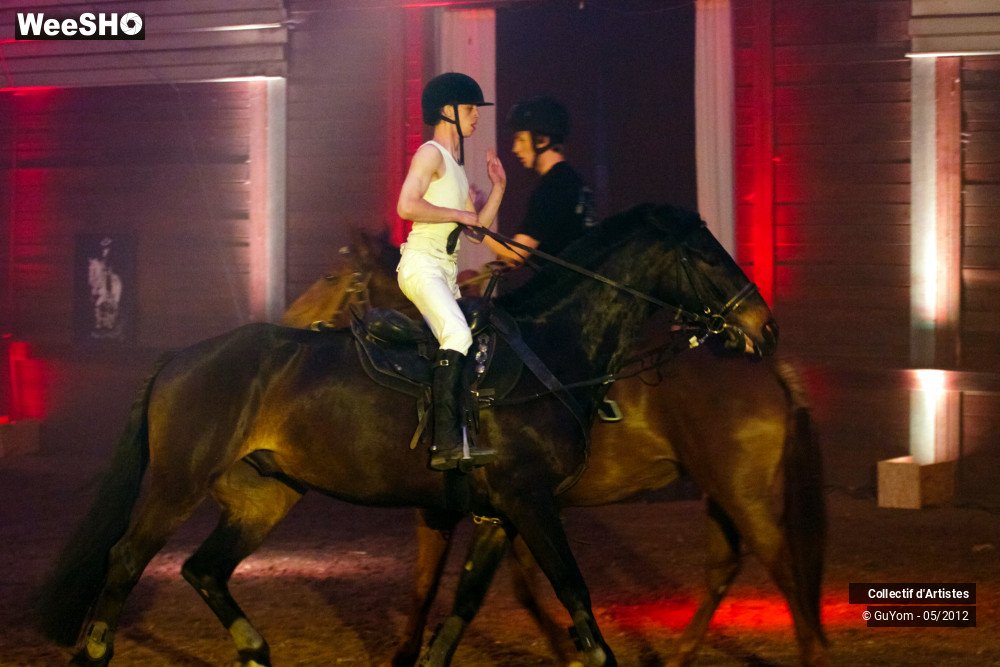 1/50 photos du spectacle Spectacle Equestre 2 Seniors