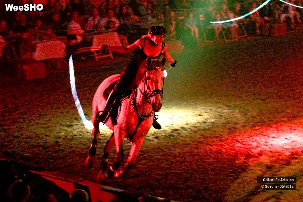 2/50 photos du spectacle Spectacle Equestre 2 Seniors