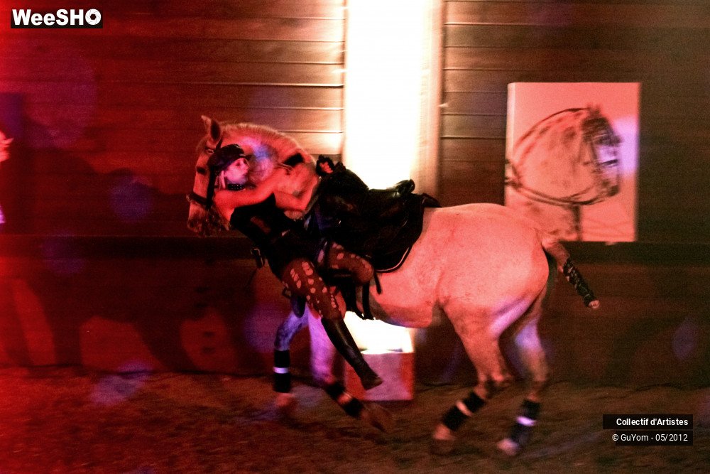 3/50 photos du spectacle Spectacle Equestre 2 Seniors